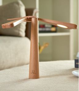 LAMPE LIBELLULE EN EQUILIBRE