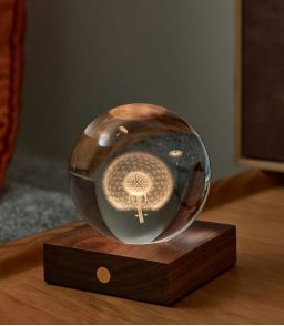 VEILLEUSE GLOBE DE CRISTAL PISSENLIT