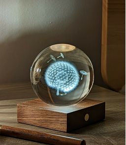 VEILLEUSE GLOBE DE CRISTAL PISSENLIT