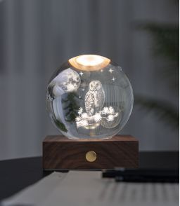 VEILLEUSE GLOBE CRISTAL CHOUETTE AU CLAIR DE LUNE