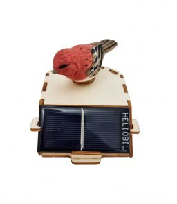 KIT SOLAIRE OISEAU EN BOIS