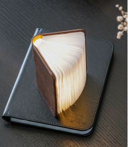 SMART BOOK LIGHT - LA LAMPE LIVRE GINGKO