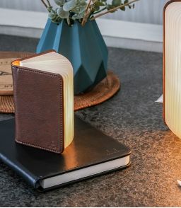 SMART BOOK LIGHT - LA LAMPE LIVRE GINGKO