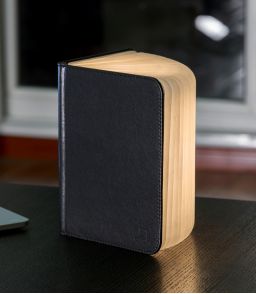 SMART BOOK LIGHT - LA LAMPE LIVRE GINGKO