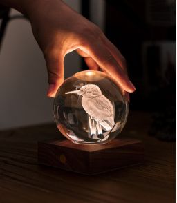 VEILLEUSE GLOBE DE CRISTAL MARTIN PECHEUR