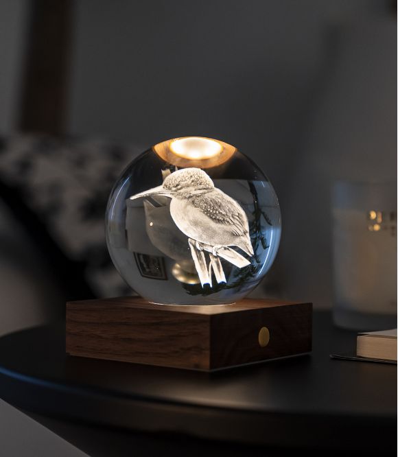 VEILLEUSE GLOBE DE CRISTAL MARTIN PECHEUR