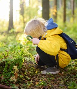 KIT DECOUVERTE DE LA NATURE : LOUPE EN BOIS ET SIFFLET