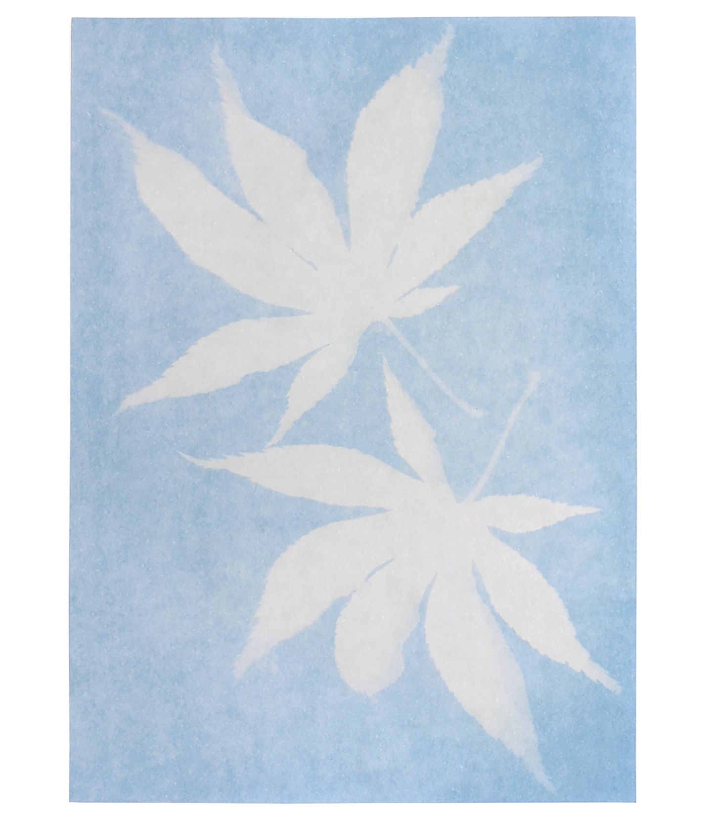 50 feuilles papier d'impression cyanotype papier A4 A5 A6 Solaire Papier  dessin sensibilité papier d'impression adulte
