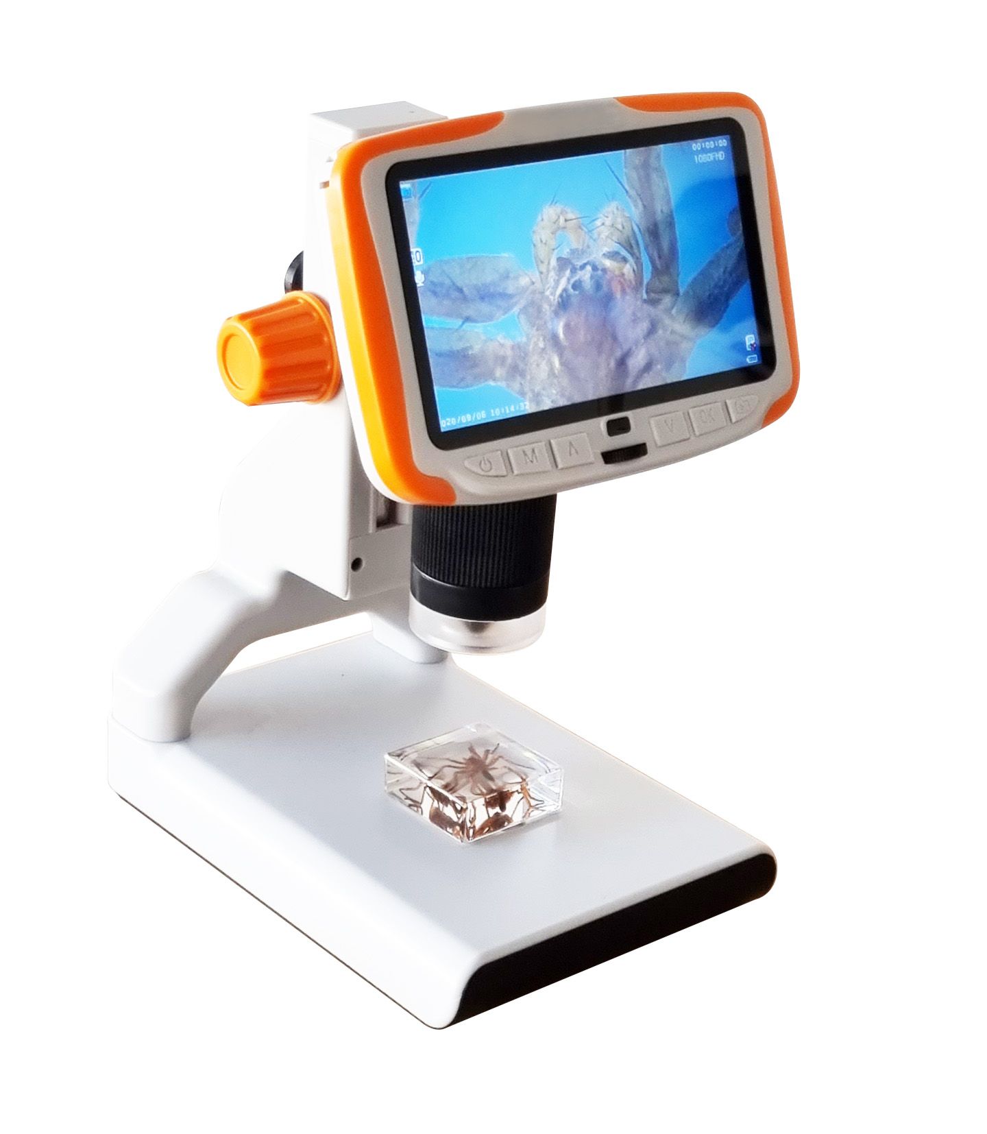 Microscope de poche à pince universel, loupe de bijoux à LED, mise